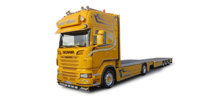 Scania R TL of pallets