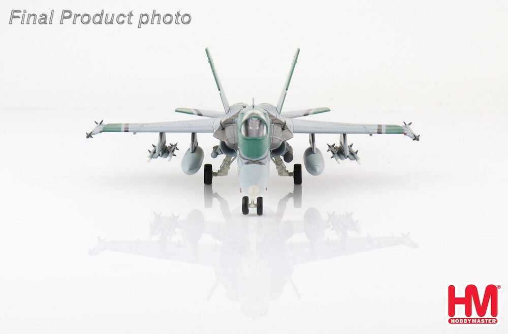 F/A-18C Hornet USAF, CAG bird, VFA-195 