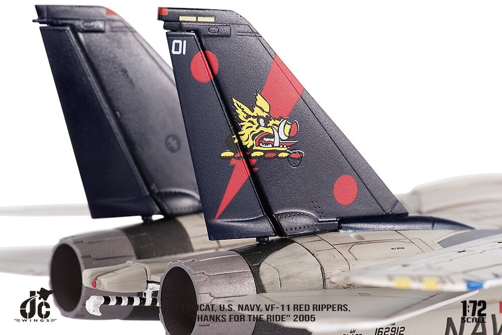 Grumman F14B Tomcat US Navy, Red Rippers, 