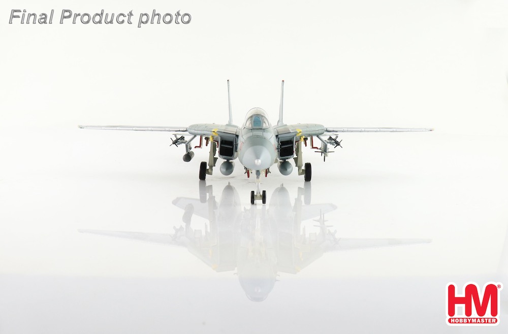 Grumman F14B Tomcat US Navy 